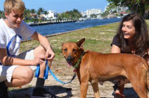Everglades Angels Dog Rescue, Inc