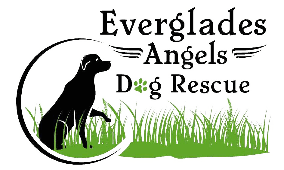 Everglades Angels Dog Rescue, Inc